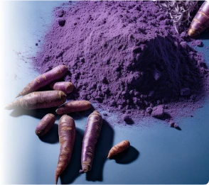 purple carrot powder